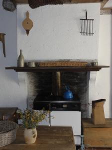 a kitchen with a stove and a stone fireplace at Le Porteau Enchanteur in Sarzay +20 photos