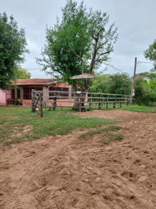 un camino de tierra delante de una casa con un árbol en Rancho Abuela Angela, en Ayolas