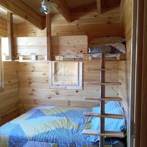 Habitación con 2 literas en una cabaña de madera en Chalet Bois Joli, en Herry