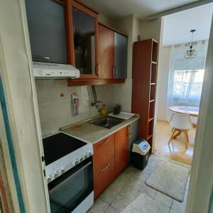 een kleine keuken met een wastafel en een fornuis bij stan na dan centar s in Šabac