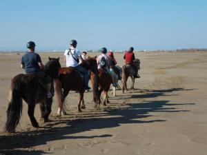 a group of people riding horses on the beach at Villa 3 étoiles avec piscine privée, 500m de la plage, 4 chambres pour 6-8 pers. au Grau-du-Roi - FR-1-307-157 in Le Grau-du-Roi