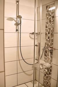 a shower with a glass door in a bathroom at Haus Vier Jahreszeiten am See HS 473 in Goslar