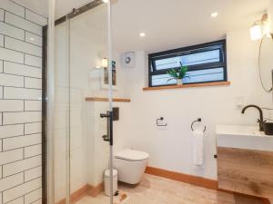 y baño con ducha, aseo y lavamanos. en Little Beach Cabin en Newquay