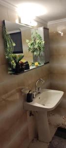 a bathroom with a sink and a mirror and plants at xanthi's sea front villas in Flámbouras