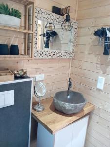 un baño con lavabo en una casa pequeña en Tiny House "Wolke 7" en Göhren-Lebbin