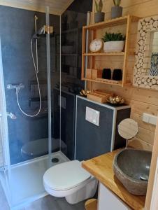 a bathroom with a shower and a toilet and a sink at Tiny House "Wolke 7" in Göhren-Lebbin