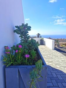 ティアスにあるAsomada Viewsの花茎塀