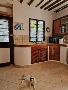 un chat allongé sur le sol dans une cuisine dans l'établissement Cozy Cat House, à Diani Beach