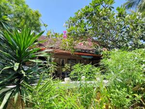 une maison entourée d'arbres et de plantes dans l'établissement Cozy Cat House, à Diani Beach