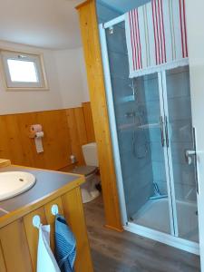 La salle de bains est pourvue d'une douche et d'un lavabo. dans l'établissement La petite maison Gîte 2 étoiles, à La Bresse