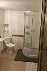 a bathroom with a shower and a toilet and a sink at Guest House Ružciems in Lamiņi