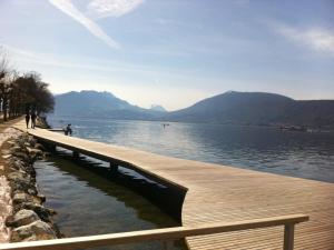 アヌシーにあるAppartement Annecy, 2 pièces, 4 personnes - FR-1-432-2の山水の上の木橋