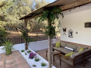 une terrasse avec un canapé, des tables et des arbres dans l'établissement Casa Ventorro, à Villanueva del Trabuco