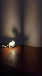 a white cat laying on the floor in a dark room at Casa Reggiana in Reggio Emilia