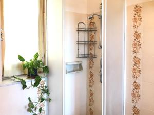 uma casa de banho com um chuveiro e uma planta em Casa Matilda em Berchidda