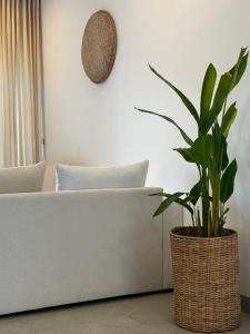 a living room with a white couch and a plant at Sea Esta Villa Mount Lavania in Ratmalana