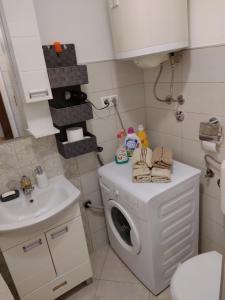 ein kleines Bad mit einer Waschmaschine und einem Waschbecken in der Unterkunft Stan na dan Bega in Modriča
