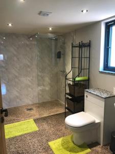 a bathroom with a shower with a toilet and a sink at Westwood Lodge in Much Wenlock