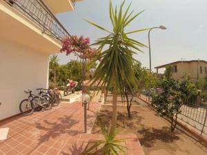 聖瑪麗亞納瓦雷的住宿－Flamingo Residence，一座带停车计的建筑旁边的棕榈树