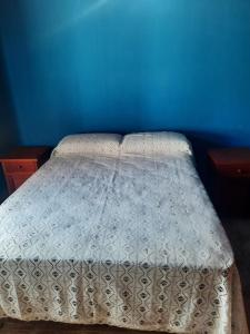 a bedroom with a bed with a blue wall at lo de Sandra 2 in Salta +31 photos