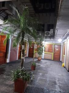 ein Zimmer mit zwei Palmen in einem Gebäude in der Unterkunft Residencial Santiago Habitaciones Hotel bed & break fast in Posadas