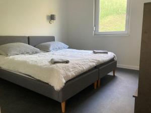 1 cama en un dormitorio con 2 almohadas y ventana en Lux Faház, en Parád