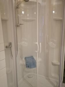 ducha con puerta de cristal y toalla azul en Chez Many, par Fred et Henri, en Monthermé