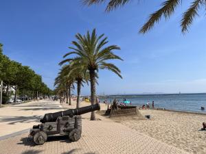 Naturlandskabet i nærheden af lejligheden