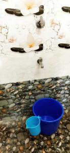 two blue bowls and flowers on the water at Hornbill inn in Cochin
