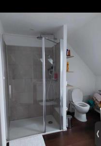 a glass shower in a bathroom with a toilet at Duplex Cosy 100m2 Terrasse Fouesnant Les Glénan in Fouesnant +13 photos