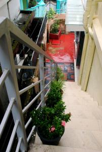 a view of a hallway with plants in a building at Hornbill inn in Cochin