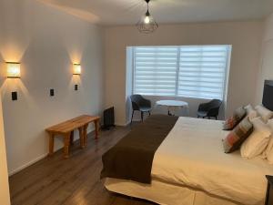 Foto dalla galleria di Termas Palguin Pucón a Pucón