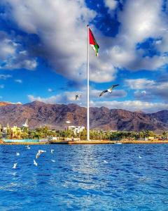 a group of birds flying over the water with a flag at Huwari Apartments in Aqaba