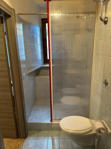 ペスカッセーロリにあるClaudia B&Bのバスルーム(トイレ、ガラス張りのシャワー付)