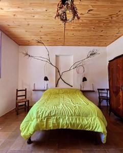 a bedroom with a green bed and a wooden ceiling at Casa Feito Tafi in Tafí del Valle