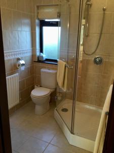 uma casa de banho com um WC e um chuveiro em Corthna Lodge em Schull