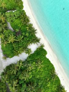una vista aérea de una playa con palmeras y el océano en Balma Beach Inn, en Faafu