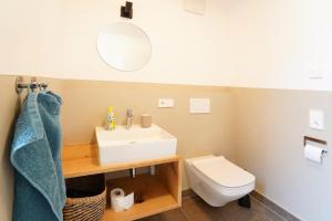 a bathroom with a sink and a toilet and a mirror at Wendlingen Ferienwohnung 3 in Freiburg im Breisgau