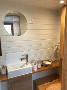 a bathroom with a sink and a mirror at Tiny house à la ferme près Paris et center parcs. in Boissy-sur-Damville
