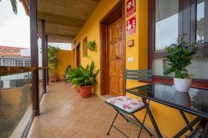 La Asomada del Gato في لا لاغونا: غرفة بها طاولة زجاجية وكراسي ونباتات
