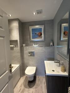a bathroom with a toilet and a sink at Distillery House in Bushmills