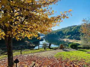 a view of the allegheny river from a park at Quinta da Memória Village in Vimieiro