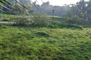 a grassy field with people walking in the distance at Guruwaththa Eco Lodge in Hikkaduwa