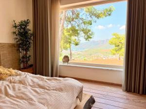 a bedroom with a bed and a cat looking out the window at Villa Storm - Very Stylish Villa w/Pool & Garden in Gocek Hills in Fethiye +42 photos