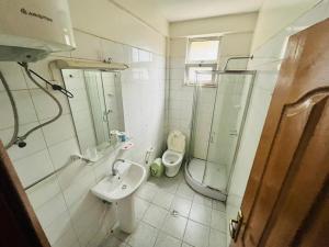 a bathroom with a shower and a toilet and a sink at Minimal Guest Houses in Addis Ababa