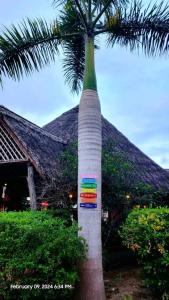 a palm tree with a sign on the side of it at splash resort hotel in Mtwara