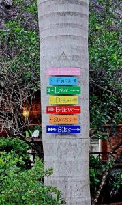 a tree with different colored signs on it at splash resort hotel in Mtwara