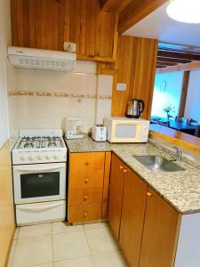 a kitchen with a stove and a sink at Apart Hotel del Pellin in San Martín de los Andes