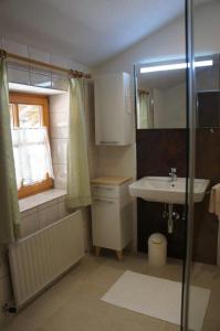 a small bathroom with a sink and a shower at Sonnenbichl in Berwang