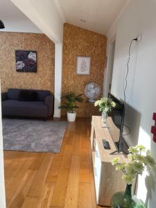 een woonkamer met een blauwe bank en een tv bij Apartamento Deluxe II RB in Ribeira Brava